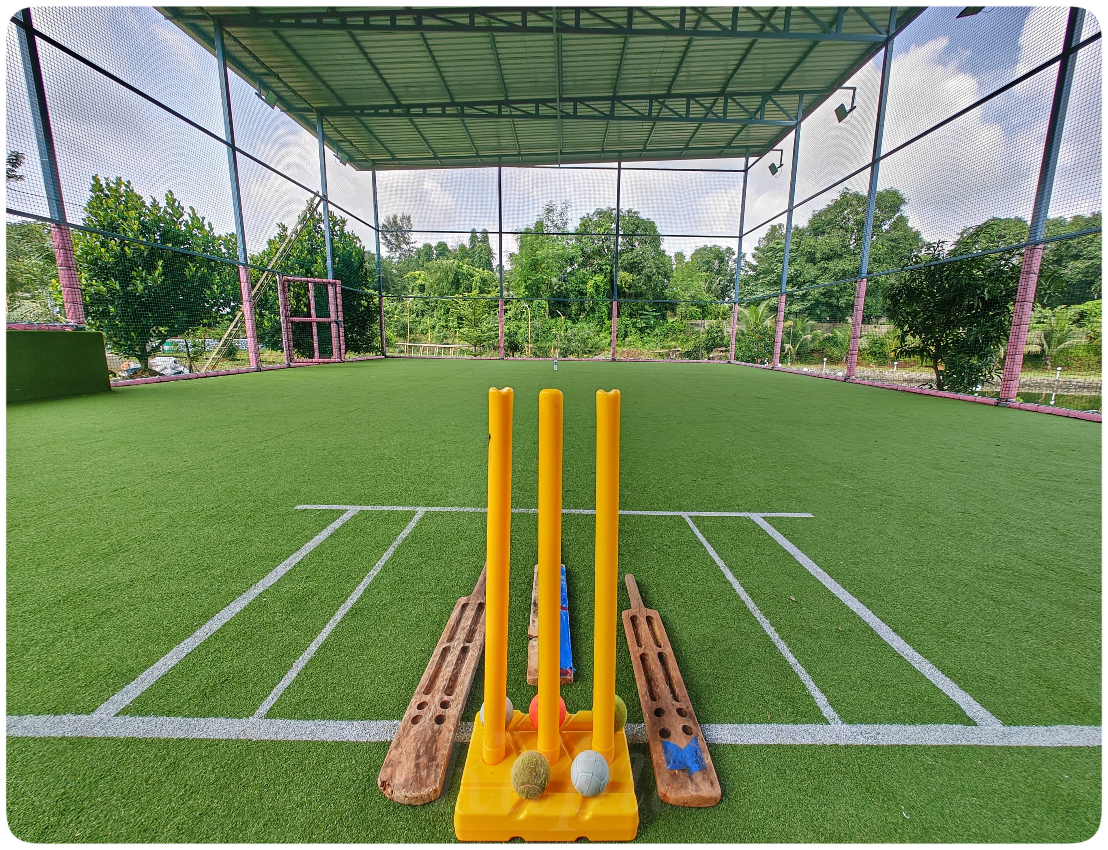Cricket Turf